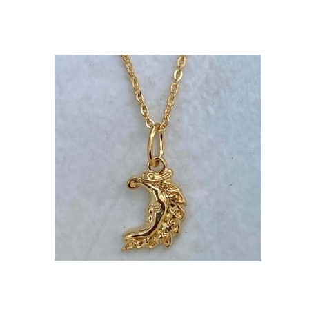Collar Luna en chapa de oro